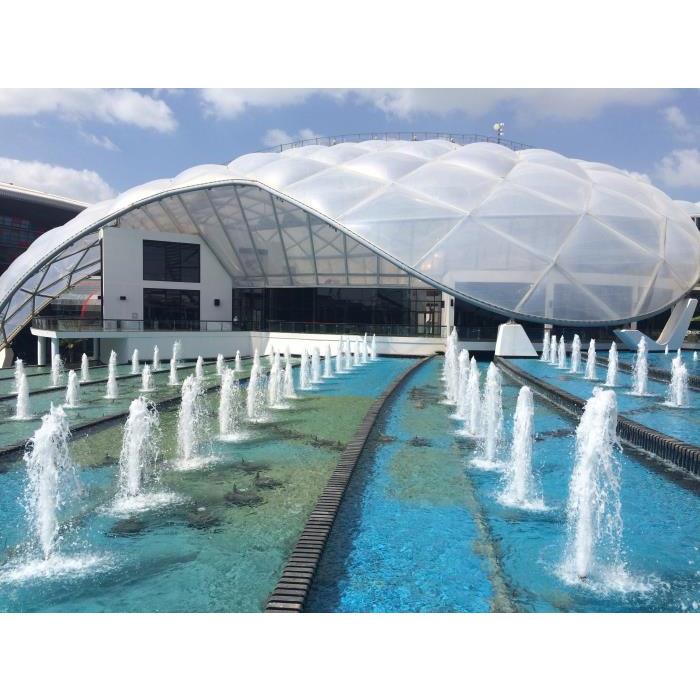 아랍에미리트 두바이 셰이크 자예드 모스크 & 루브르 아부다비: 두바이 투어 + 점심 식사