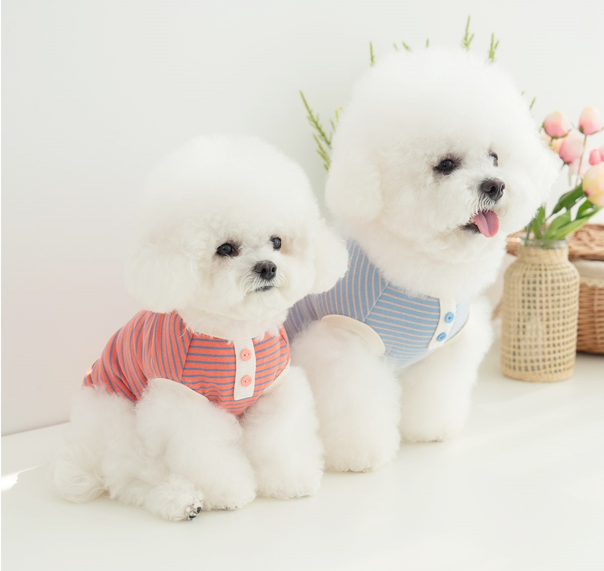강아지옷 강아지 겨울 실내복 티셔츠 롤리1+1기획세트 - 상품 이미지