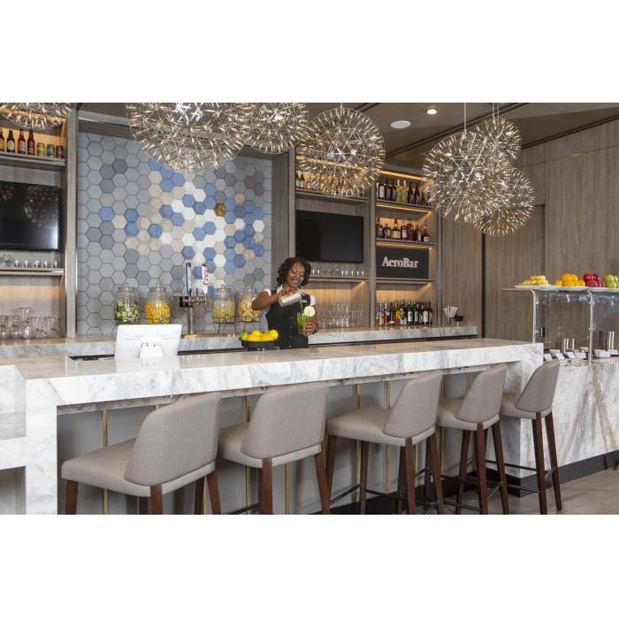 미국 텍사스 댈러스 포트워스 국제공항 플라자 프리미엄 라운지