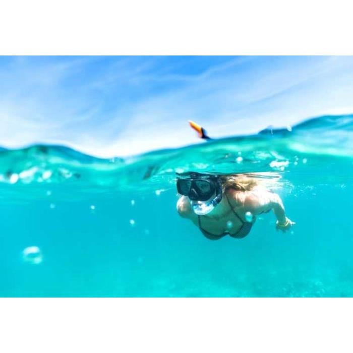 미국 하와이 오아후 호놀룰루 출발 와이키키 거북이 스노클링 투어 & 30피트 점프