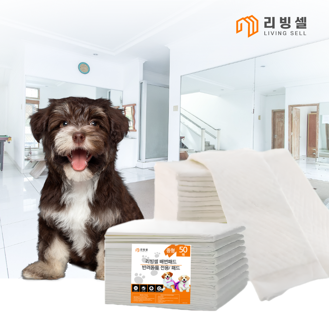 참조은 배변패드 강아지 애견패드 애완동물 무향 빠른흡수 무향 천연펄프 대형 60x76, 50매입, 1개