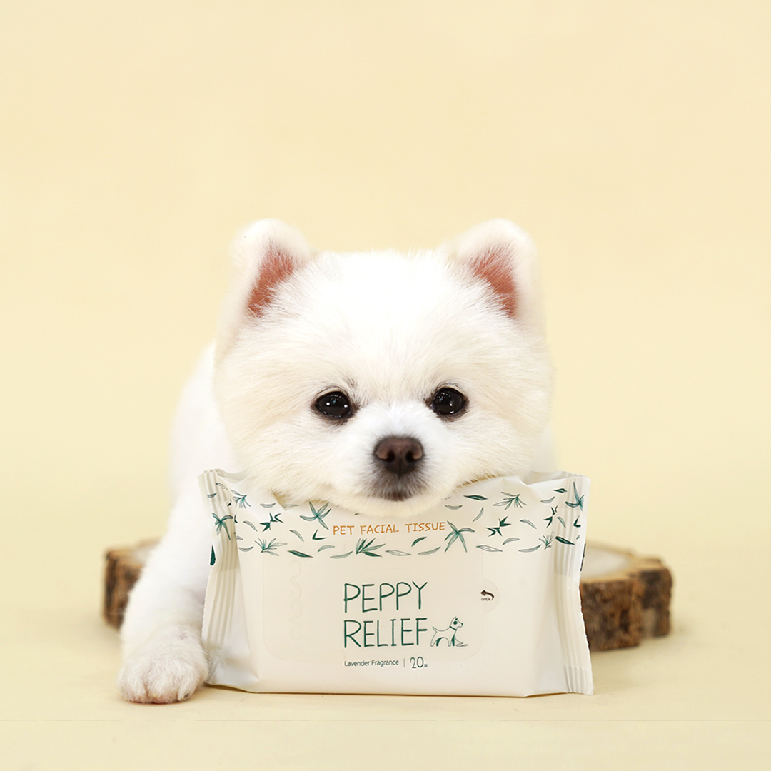 페피릴리프 강아지 물티슈 10팩 대나무원단 페이셜티슈 제품 이미지