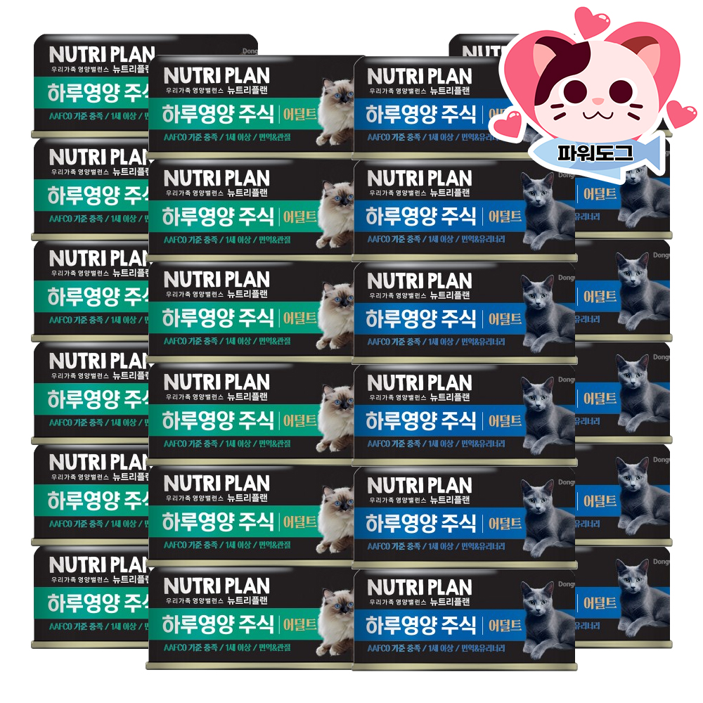 동원 뉴트리플랜 하루영양 주식캔 85g 24캔 어덜트 면역 관절 고양이 습식 - 상세 이미지 2