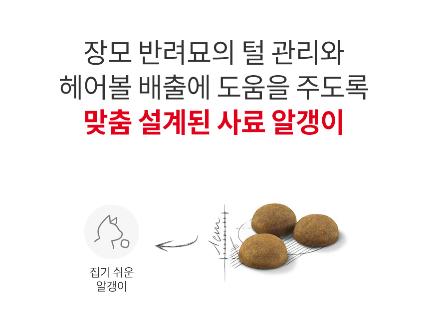 [유통기한 2027.02.22] 로얄캐닌 캣 인도어 롱헤어, 4kg, 1개