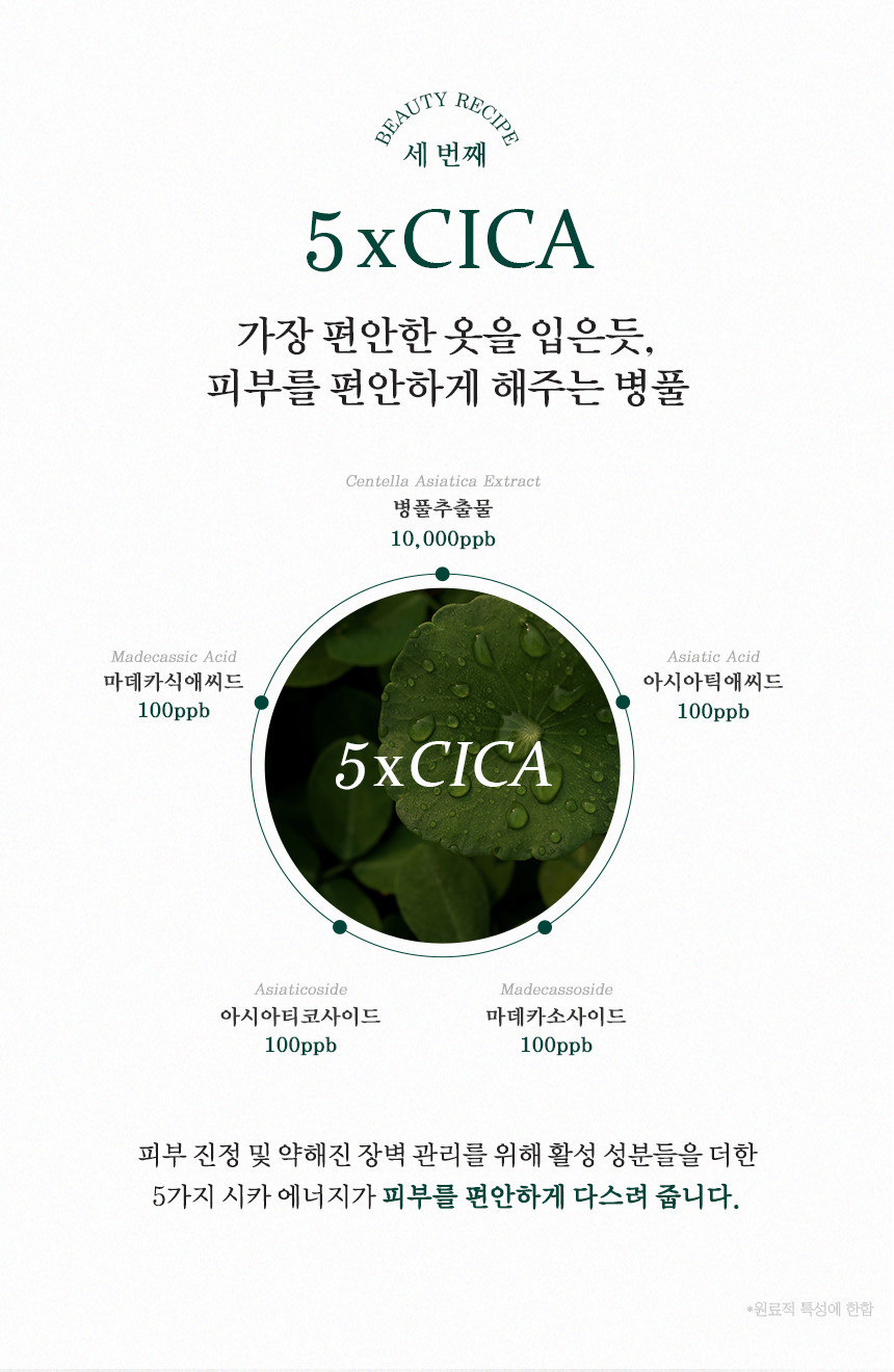 크림우드 이미지