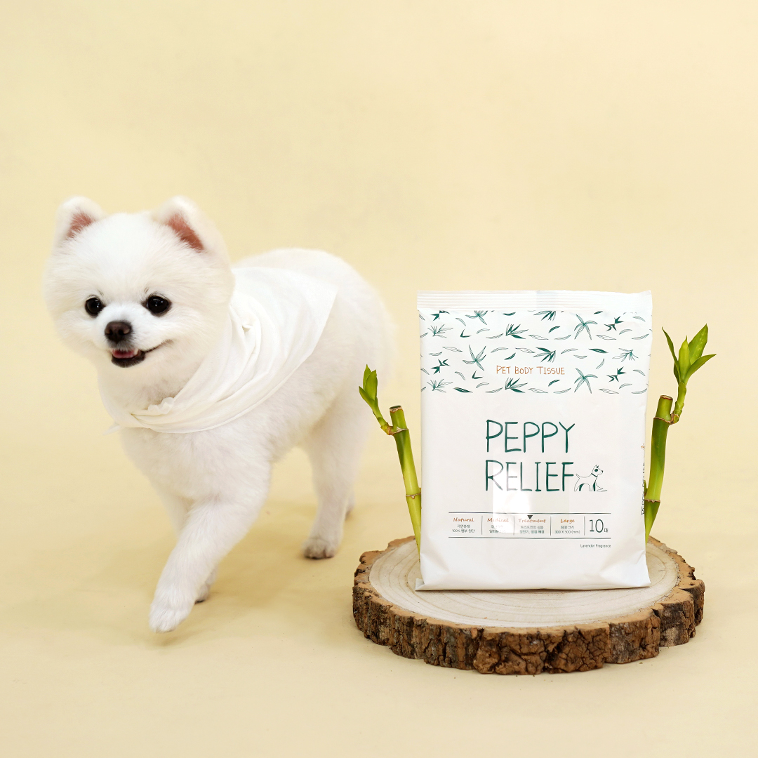 페피릴리프 강아지 물티슈 5팩 대나무원단 바디티슈 제품 이미지