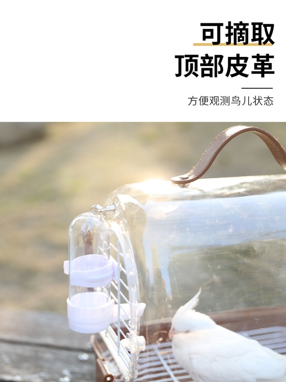 앵무새 이동장 외출 케이지 휴대용 앵무새가방 새용품 야외 조류 투명 새 여행 - 상세 이미지 4