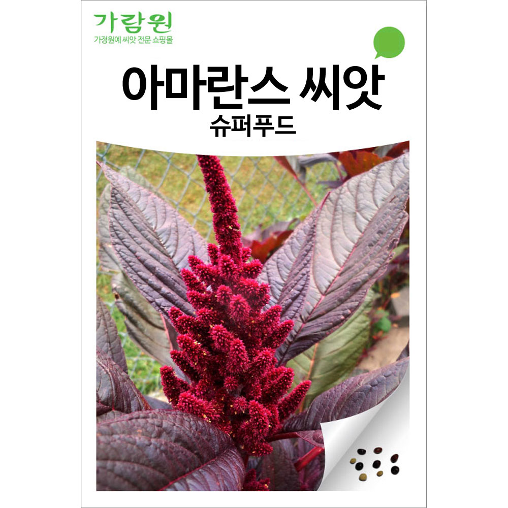 아마란스 씨앗 슈퍼푸드 씨앗 아마란스씨 종자 3000알 : 가람원