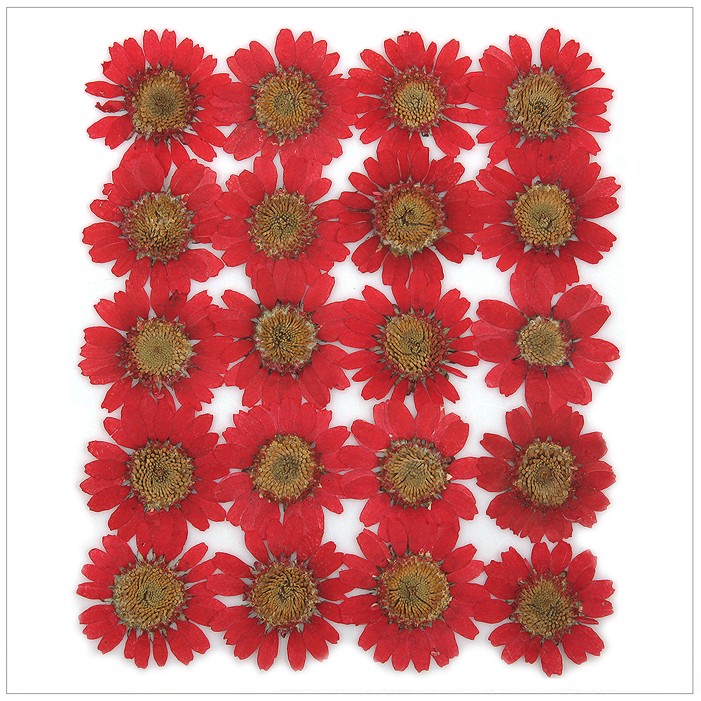 프레스코21 압화 꽃송이 마가렛 (C형 밝은빨강) 20p - 상품 이미지