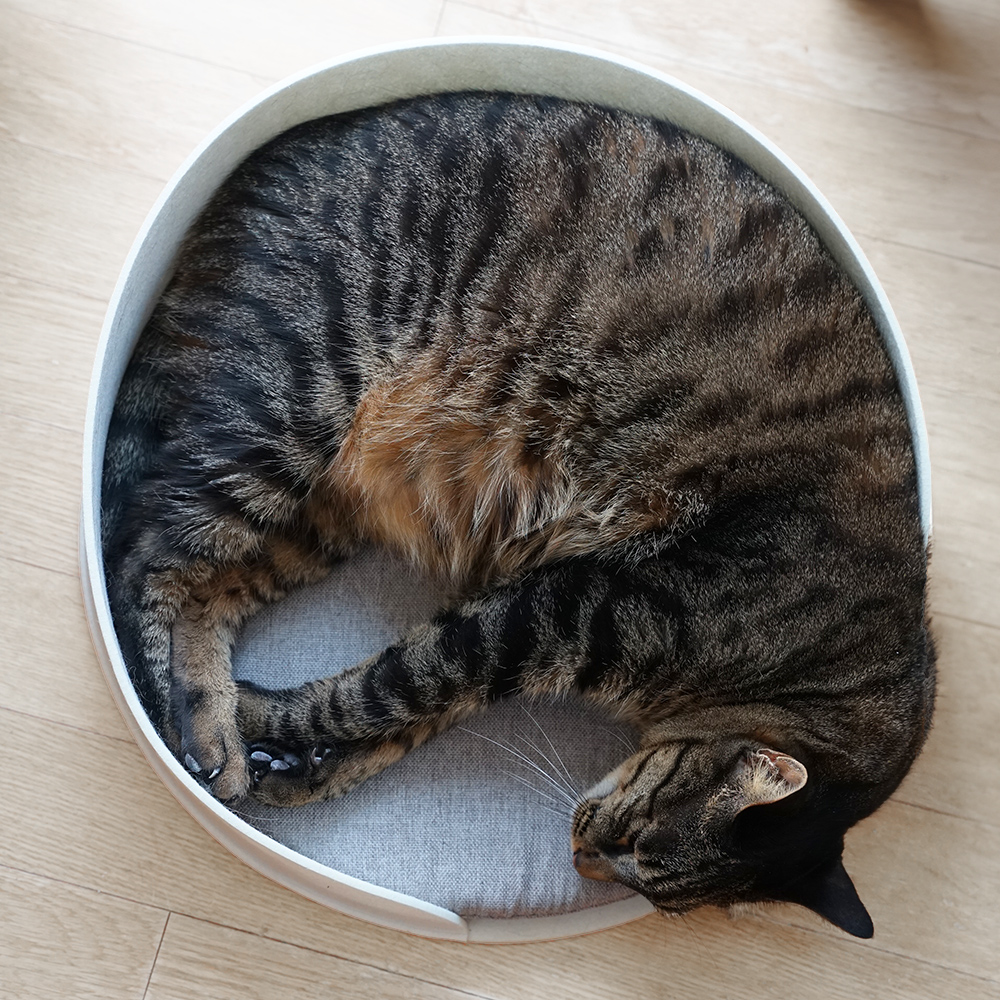 고양이 침대 냥바구니 스크래처