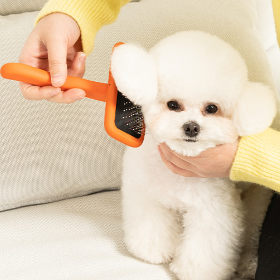 강아지빗 슬리커브러쉬 강아지 고양이 엉킨털제거 빗 스탠다드펫 오렌지 소프트핀 - 상품 이미지