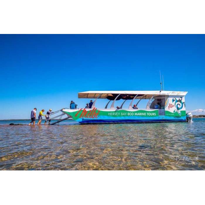 호주 허비베이 터틀 디스커버리 에코 투어