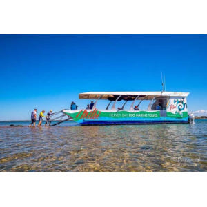 호주 허비베이 터틀 디스커버리 에코 투어 솔직 후기 | 실사용자 리뷰 분석 - 상품 이미지 4