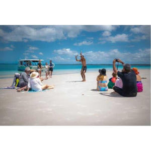 호주 허비베이 터틀 디스커버리 에코 투어 솔직 후기 | 실사용자 리뷰 분석 - 상품 이미지 1