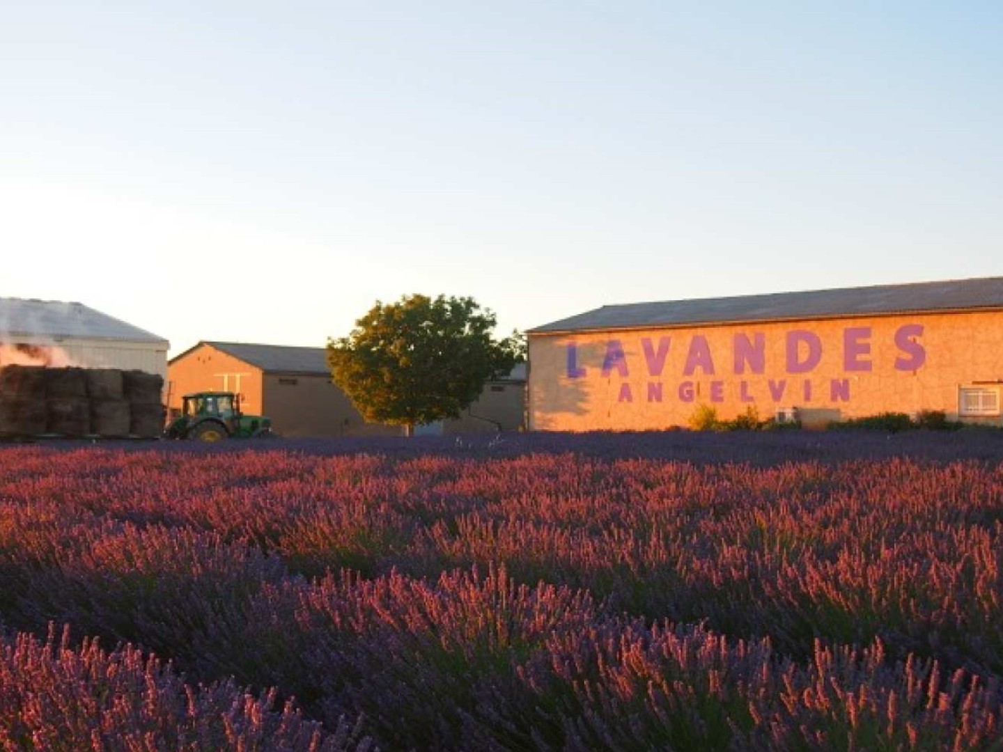 프랑스 프로방스알프코트다쥐르  발랑솔 선셋 라벤더 투어 (엑상 프로방스 출발)