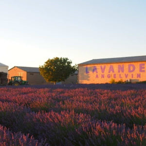 프랑스 프로방스알프코트다쥐르  발랑솔 선셋 라벤더 투어 (엑상 프로방스 ... 솔직 후기 | 실사용자 리뷰 분석 - 상품 이미지 1