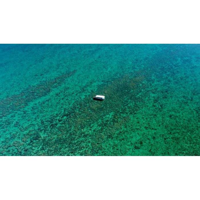 호주 허비베이 터틀 디스커버리 에코 투어