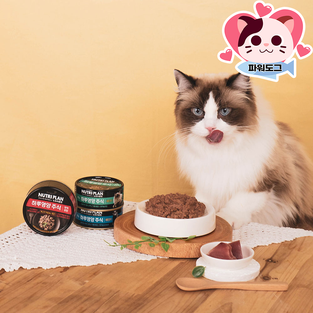 동원 뉴트리플랜 하루영양 주식캔 85g 키튼 면역 성장 고양이 습식 이미지 8