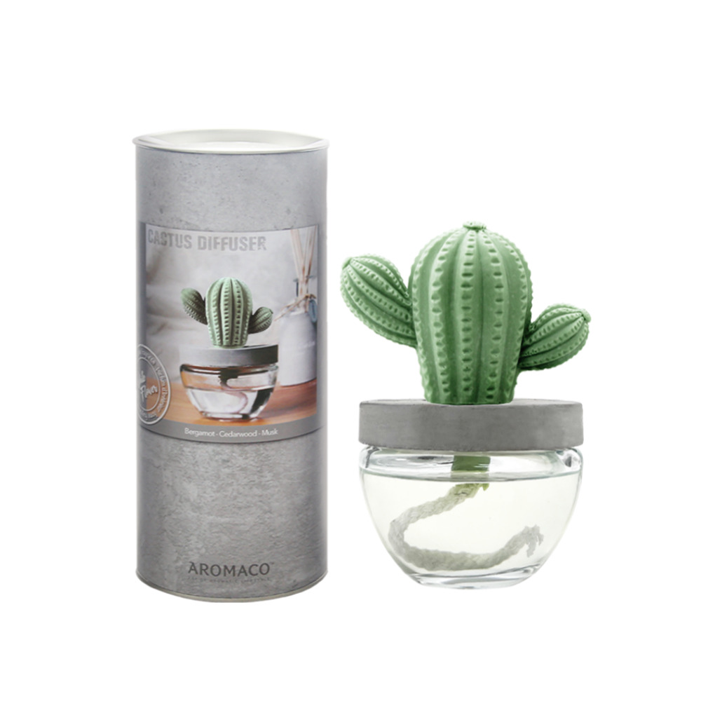 아로마코 실내디퓨저 선인장 석고방향제 100ml