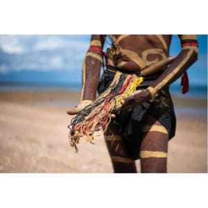 호주 허비베이 터틀 디스커버리 에코 투어 솔직 후기 | 실사용자 리뷰 분석 - 상품 이미지 3