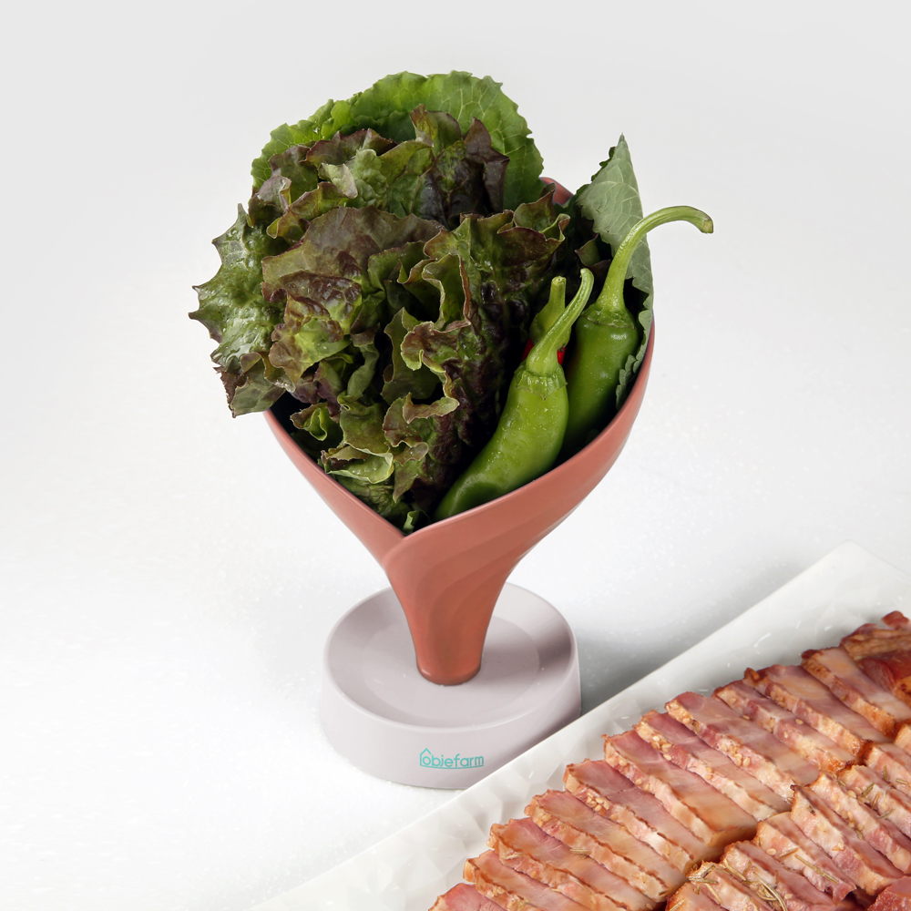 오브제팜 물빠짐 야채접시 상추 야채 과일 쌈 채소 그릇 접시 바구니 채반