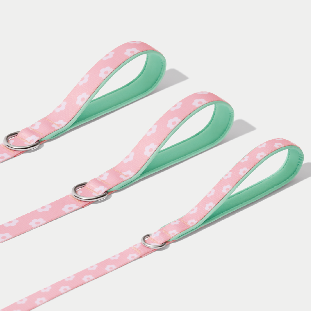 플라워 팬던트 강아지 하네스 가슴줄 소형견 중형견