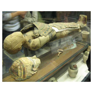 프랑스 파리 루브르 박물관의 살인과 미스터리 솔직 후기 | 실사용자 리뷰 분석 - 상품 이미지 2