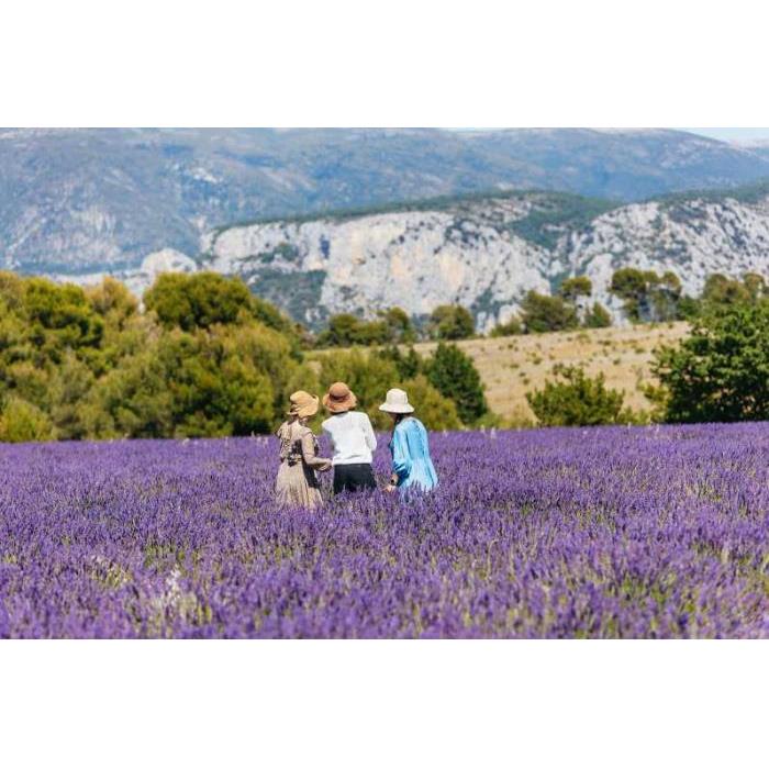 프랑스 니스 베르동 협곡 및 라벤더 들판 투어