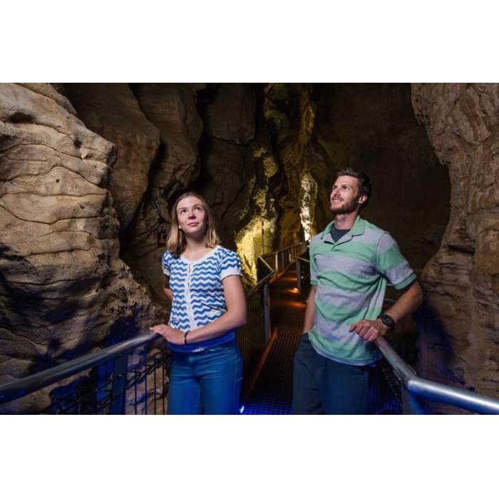 뉴질랜드 와이토모 루아쿠리 동굴 1.5시간 가이드 투어