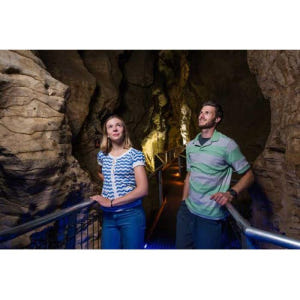 뉴질랜드 와이토모 루아쿠리 동굴 1.5시간 가이드 투어 솔직 후기 | 실사용자 리뷰 분석 - 상품 이미지 3