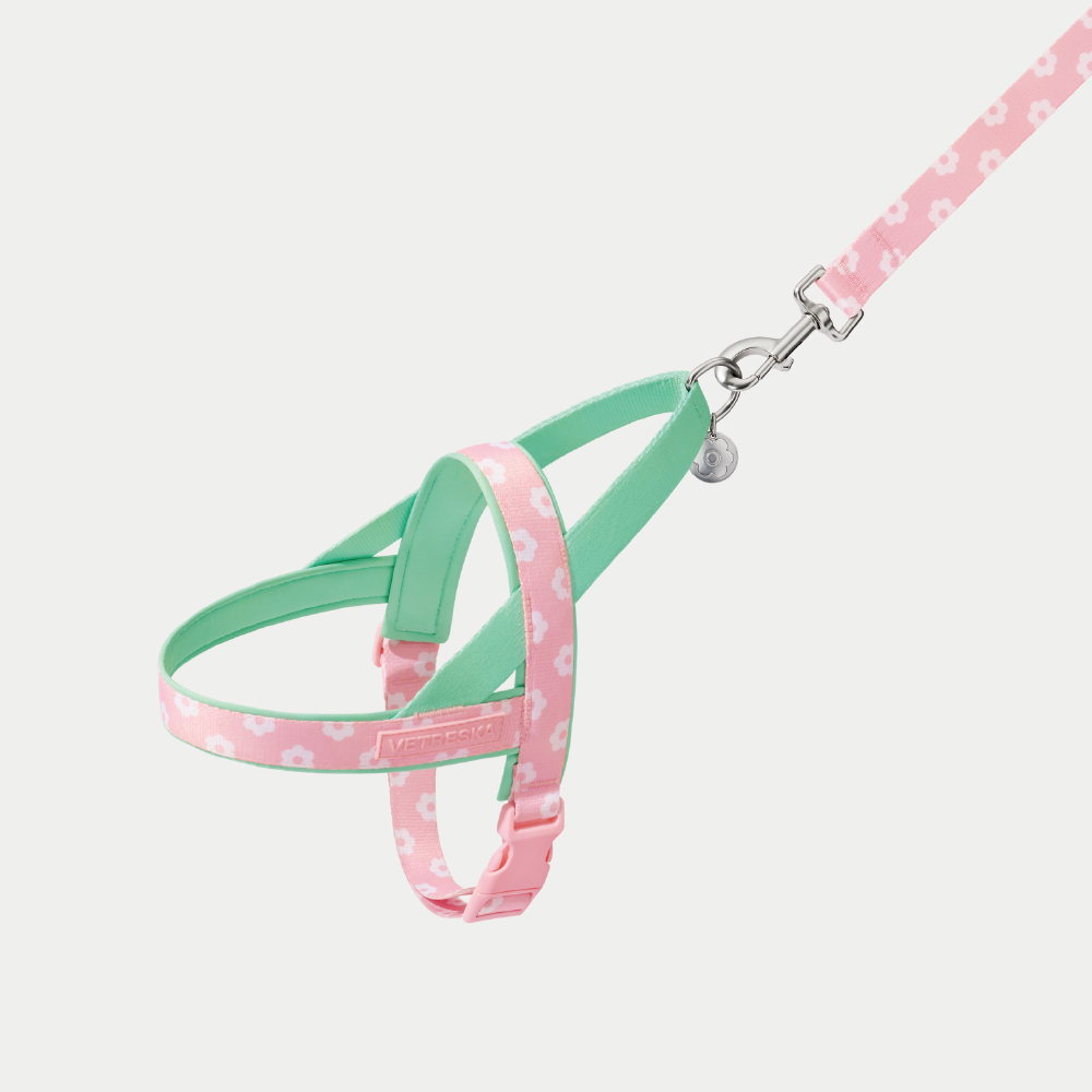 플라워 팬던트 강아지 하네스 가슴줄 소형견 중형견