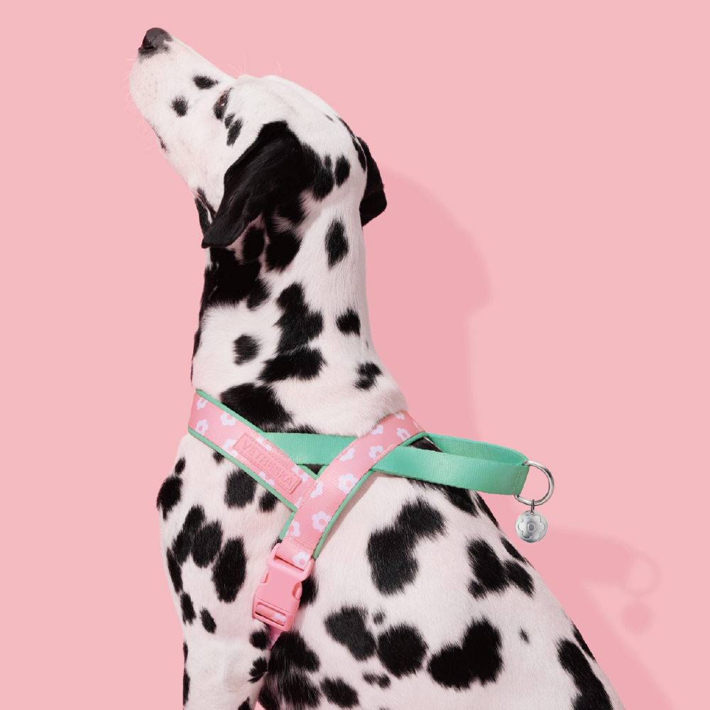 플라워 팬던트 강아지 하네스 가슴줄 소형견 중형견