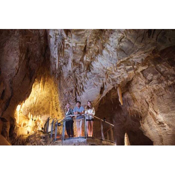 뉴질랜드 와이토모 루아쿠리 동굴 1.5시간 가이드 투어