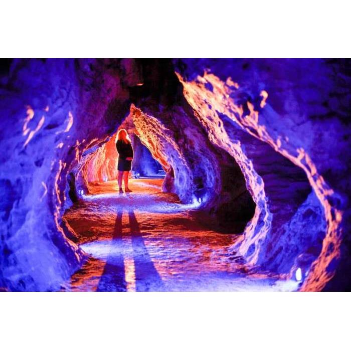 뉴질랜드 와이토모 루아쿠리 동굴 1.5시간 가이드 투어