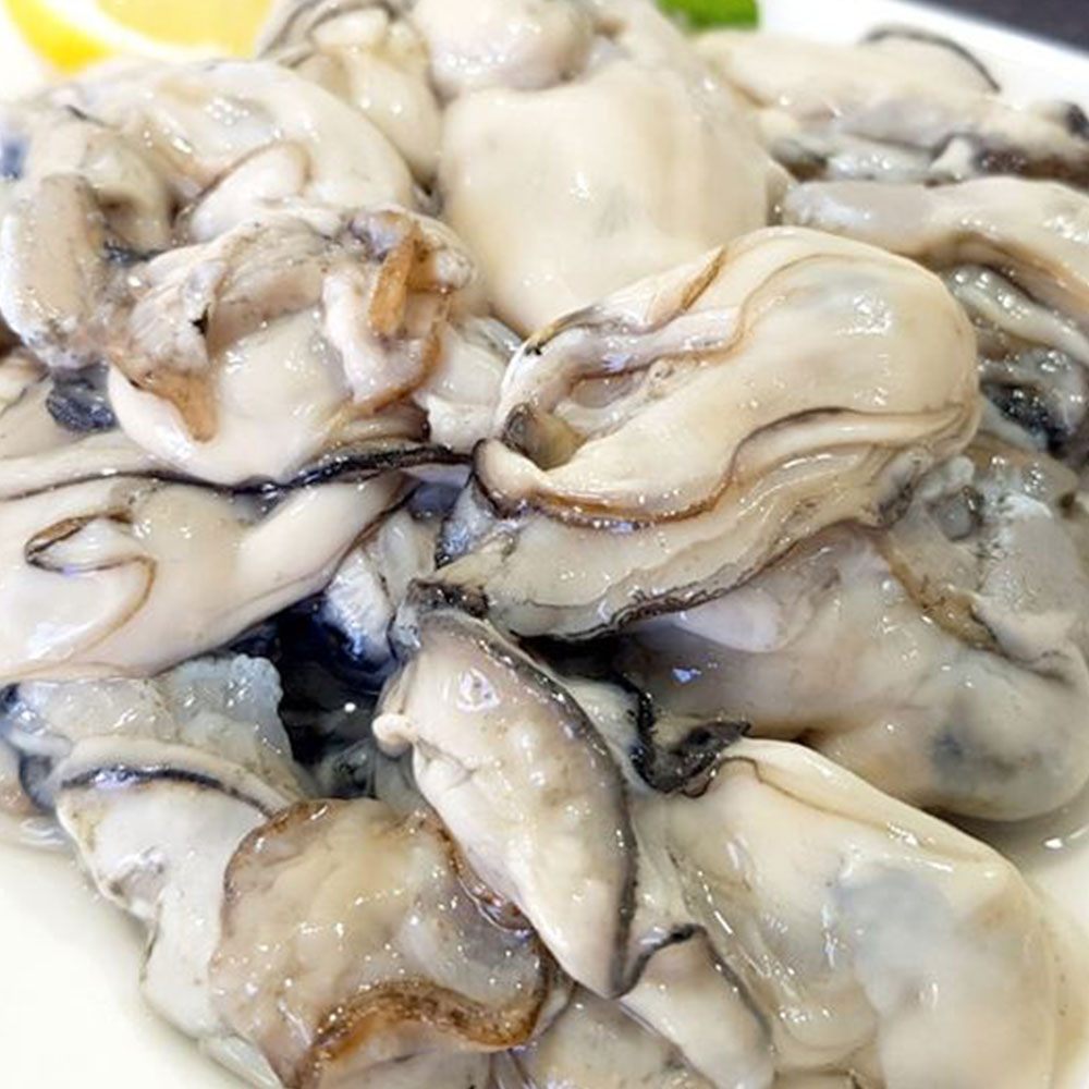 [제철수산]대용량 통영생굴 대굴 1kg / 당일경매 당일출고 이미지 7
