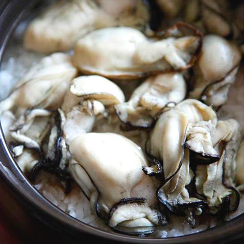 [제철수산] 대용량 통영생굴 1kg / 당일경매 당일출고