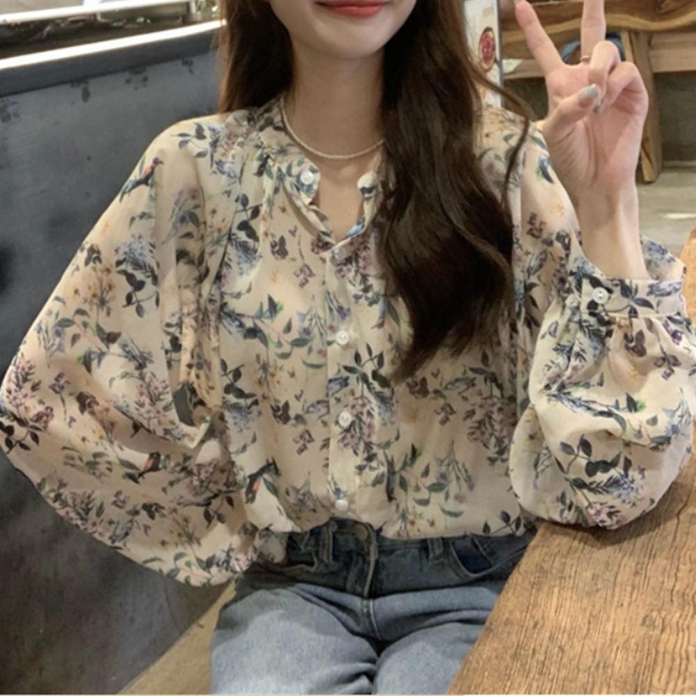 시스루블라우스 긴팔 쉬폰 여름 살안타템 블라우스 이미지 8