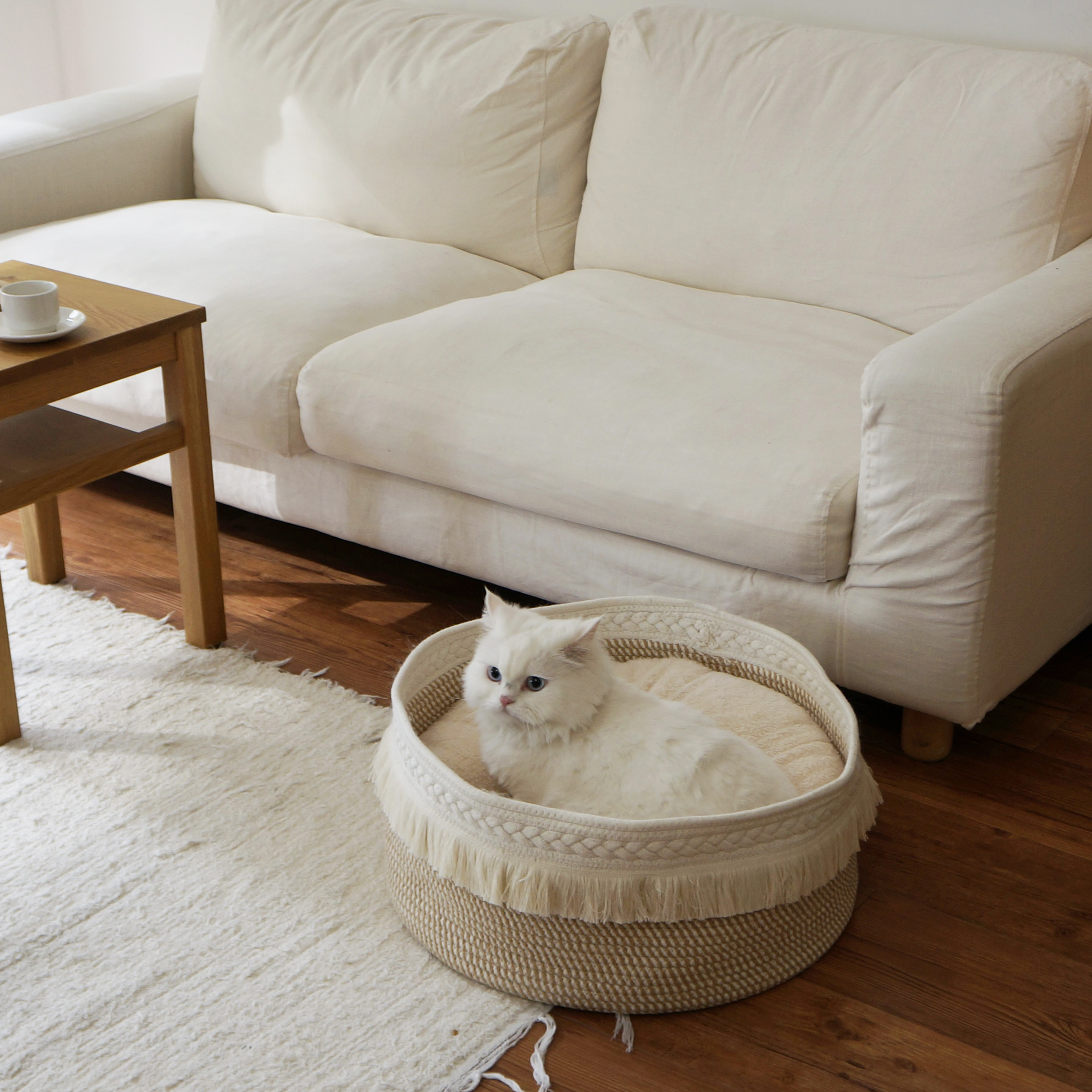 고양이 숨숨집 강아지 집 바구니 방석 포함