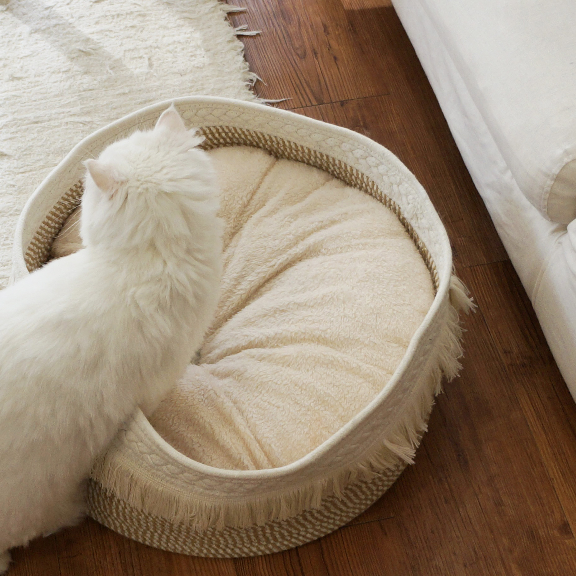 고양이 숨숨집 강아지 집 바구니 방석 포함