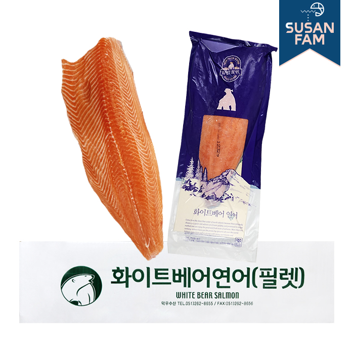 화이트베어 칼연어 통필렛 9KG 박스 냉동연어 연어회 (업소도매용)
