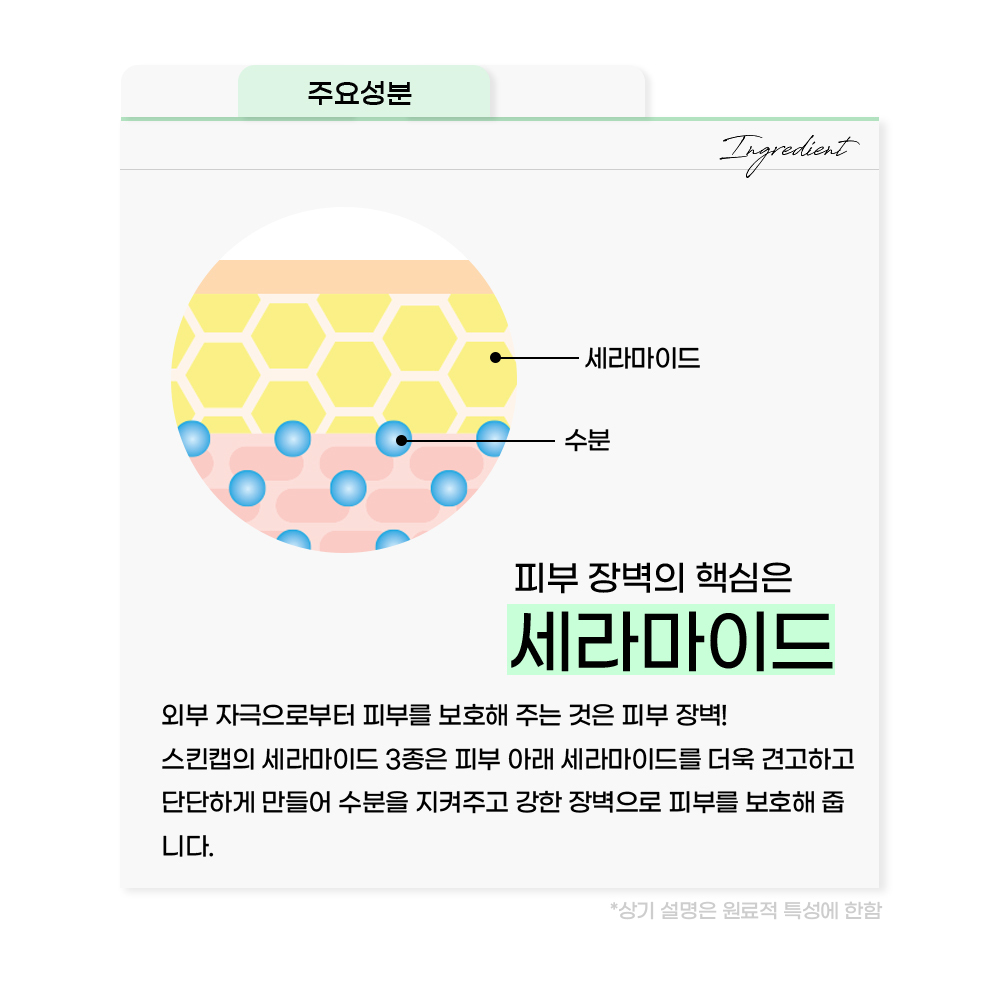 스킨캡 샴푸 건조함 완화 두피트러블 감소 프랑스 150ml용량 1+1이벤트 이미지 6
