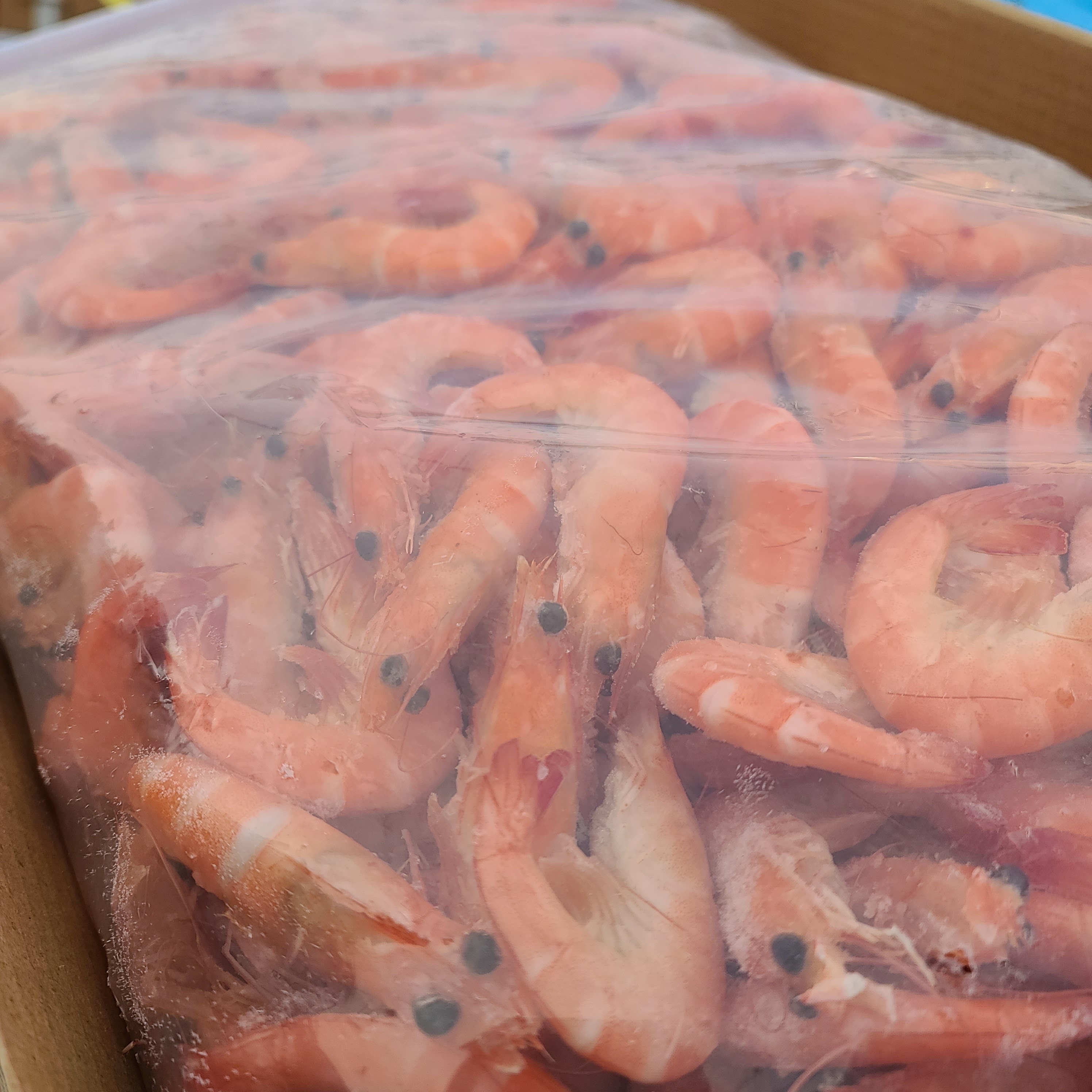 자숙새우 60미 2.5kg, 5kg 찐새우 냉동 뷔페