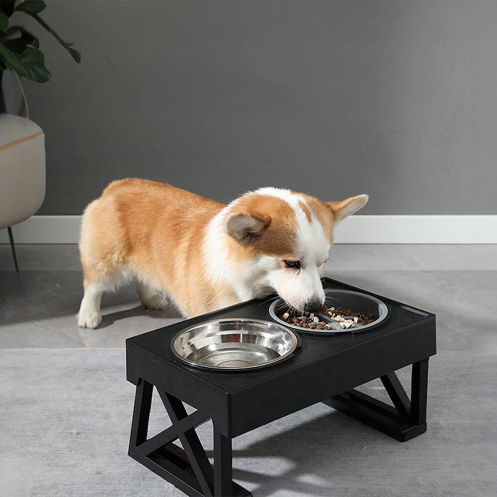 뽈뽈 전견용식기 각도조절 밥그릇 슬로우 식기 포함 2구