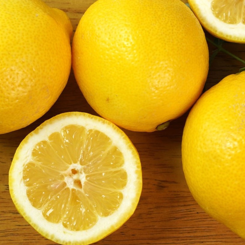 팬시 레몬 165과 140과 대용량 카페레몬 미국산 - 상세 이미지 4