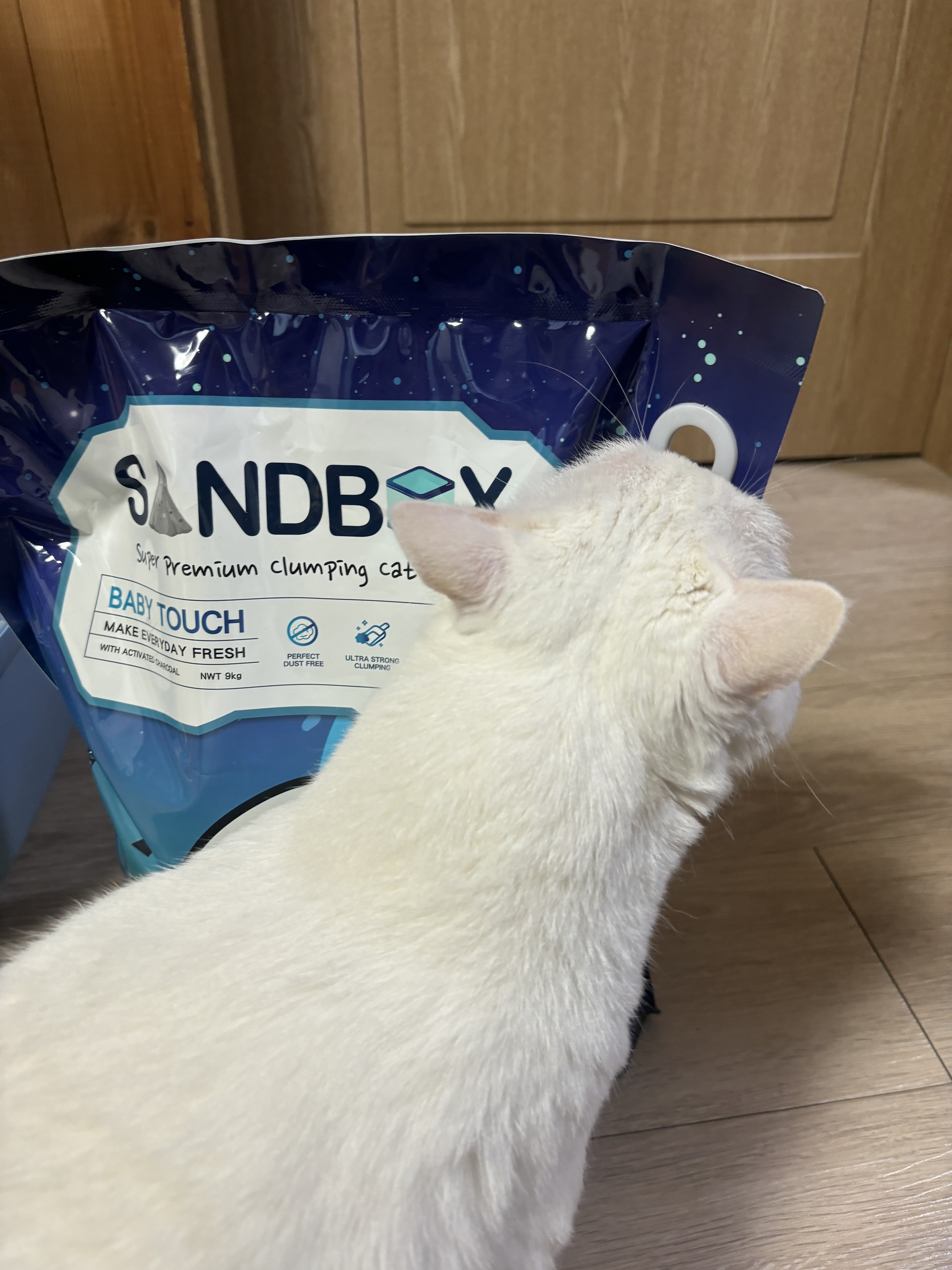 1+1 샌드박스 벤토나이트 먼지없는 고양이 모래 9kg+9kg 활성탄 미네랄 - 상세 이미지 5