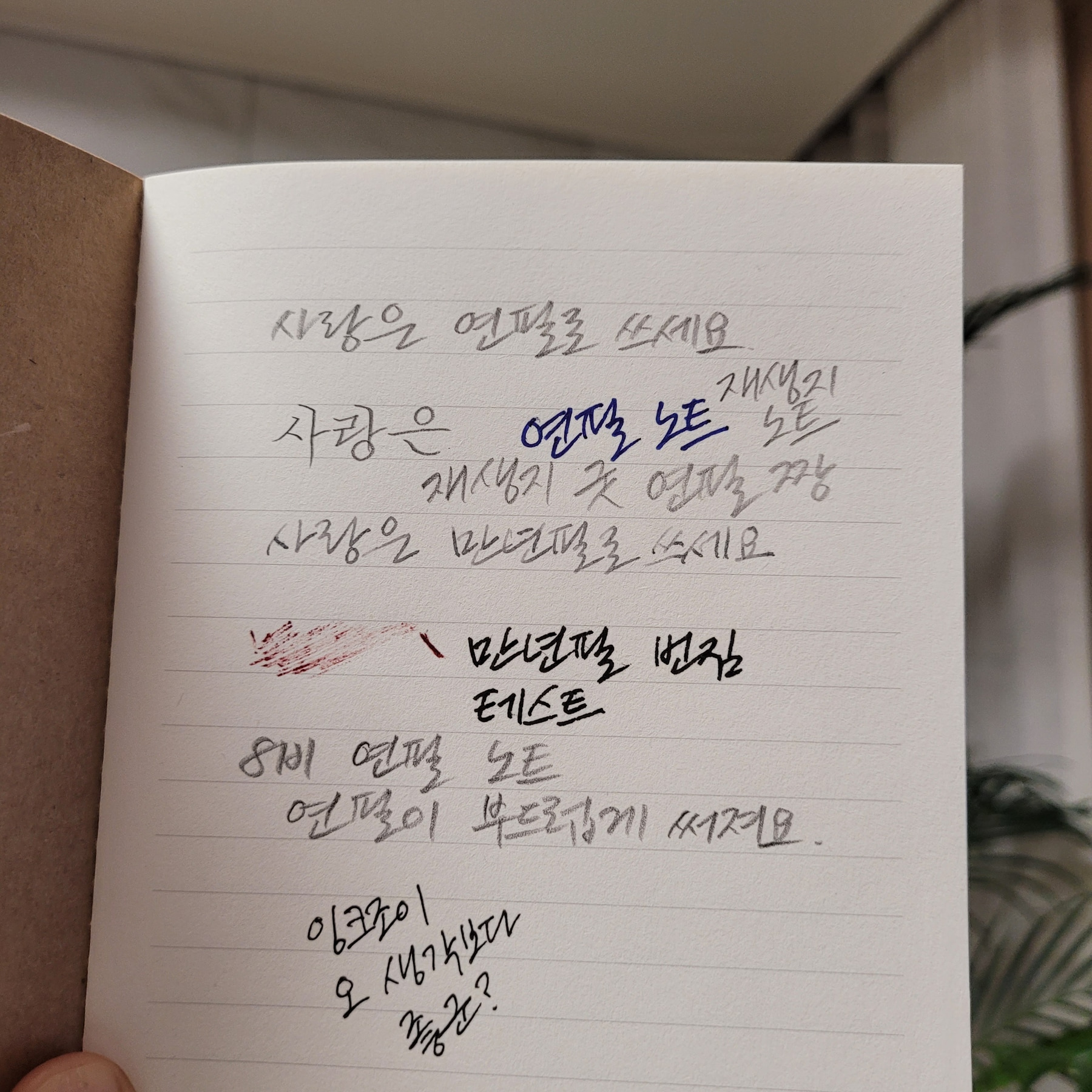 흑연이 부드럽게 잘 발리는 동백문구점 연필 노트 - 상세 이미지 3
