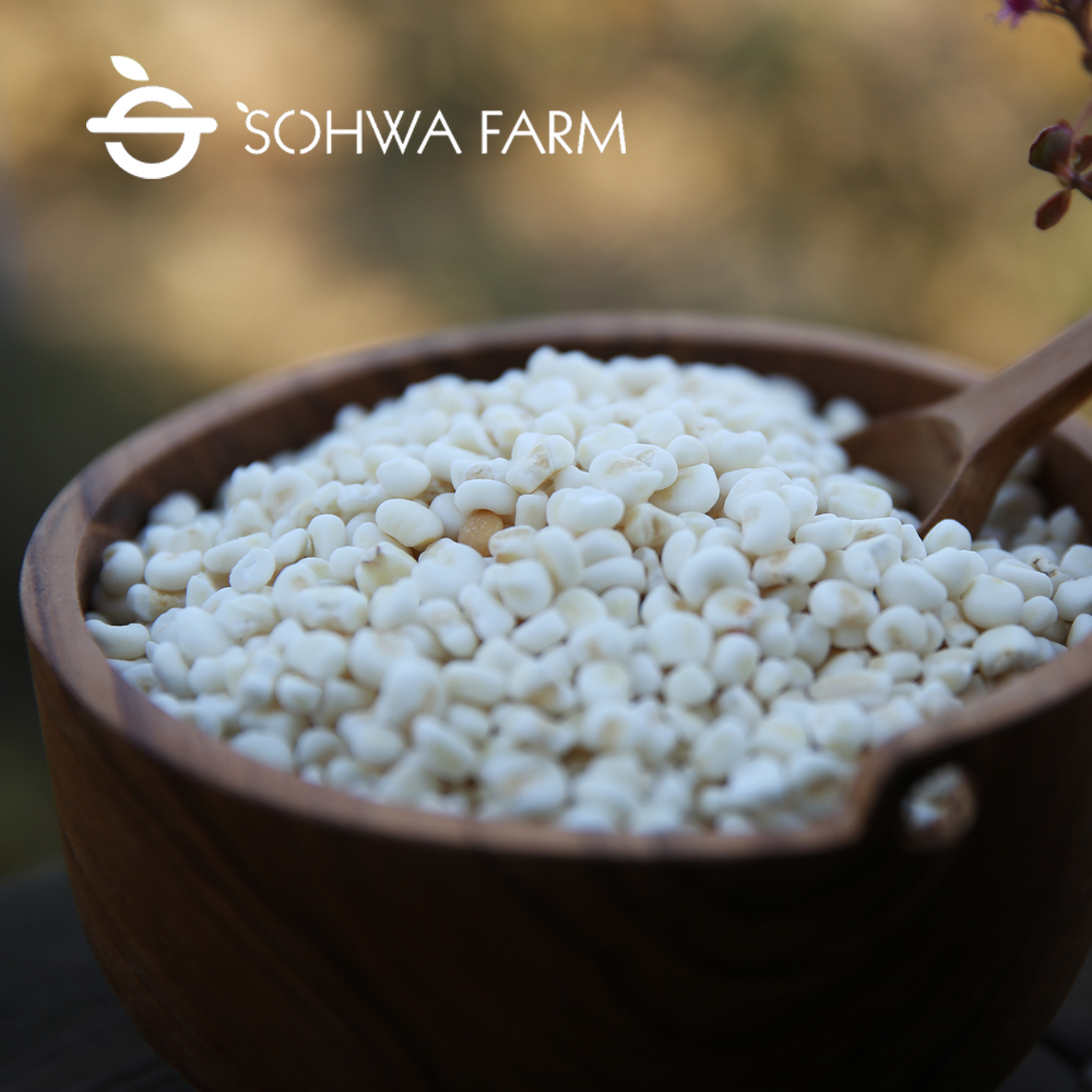 2025년 국산 깐 옥수수쌀 1kg 옥수수밥