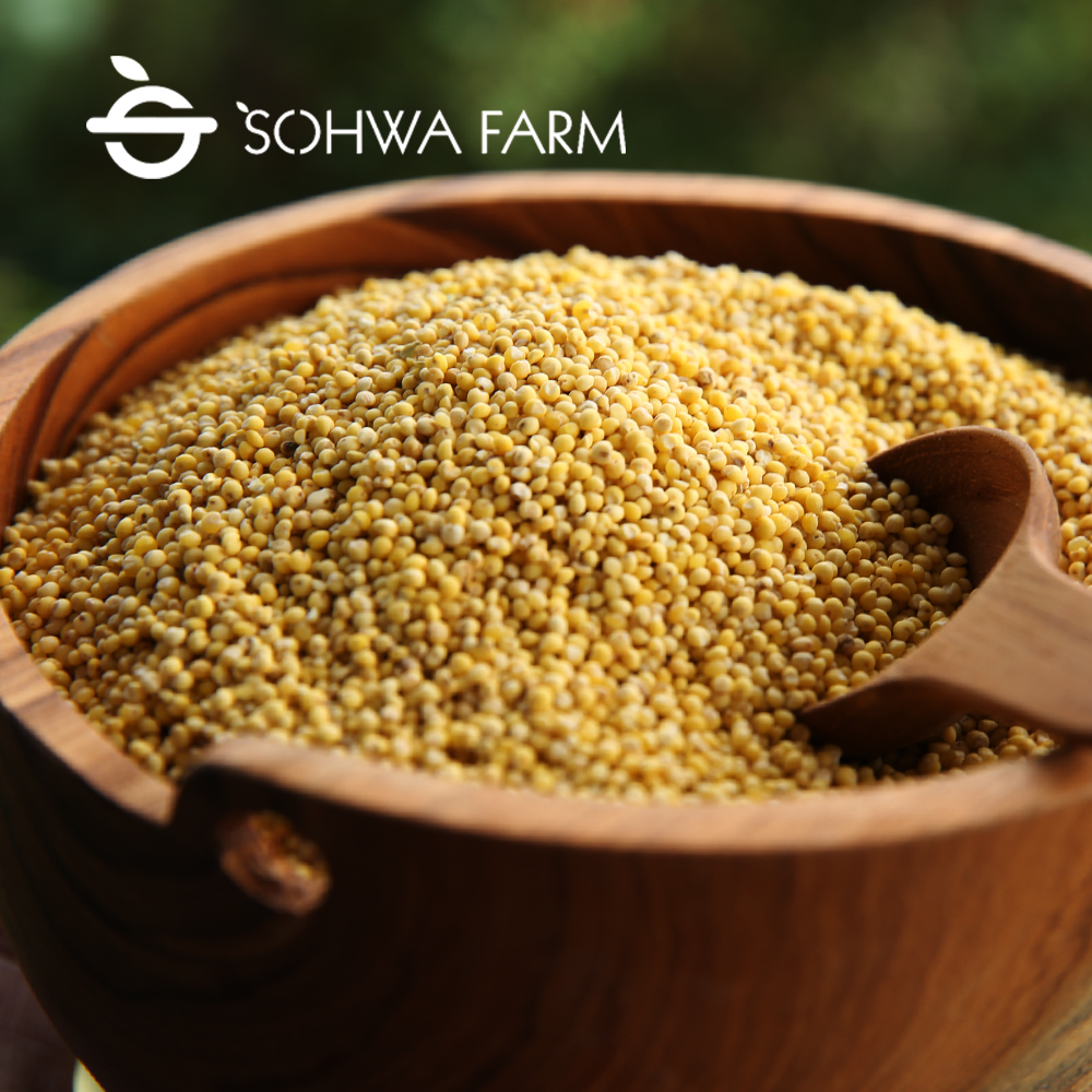 2025년 국산 햇 기장쌀 1kg 노란 좁쌀 찰기장 제품 이미지