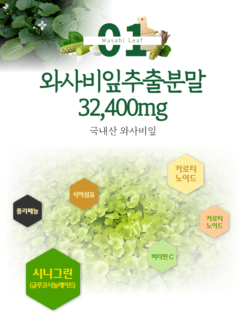와사비잎추출물 2개월분 와사비추출물 효능 효과 이소비텍신 60정 브리오웰 이미지 6