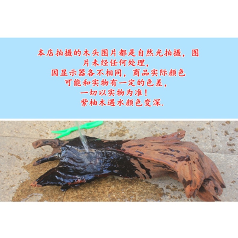어항유목 꾸미기 나무 가지 장식 뿌리 레이아웃 - 상세 이미지 4